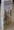 Story Of Celto-Saxon Israel spine